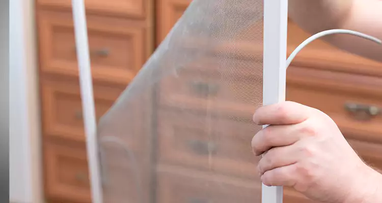 Privacy Mesh Screen Door Installation in Bayshore Gardens, FL